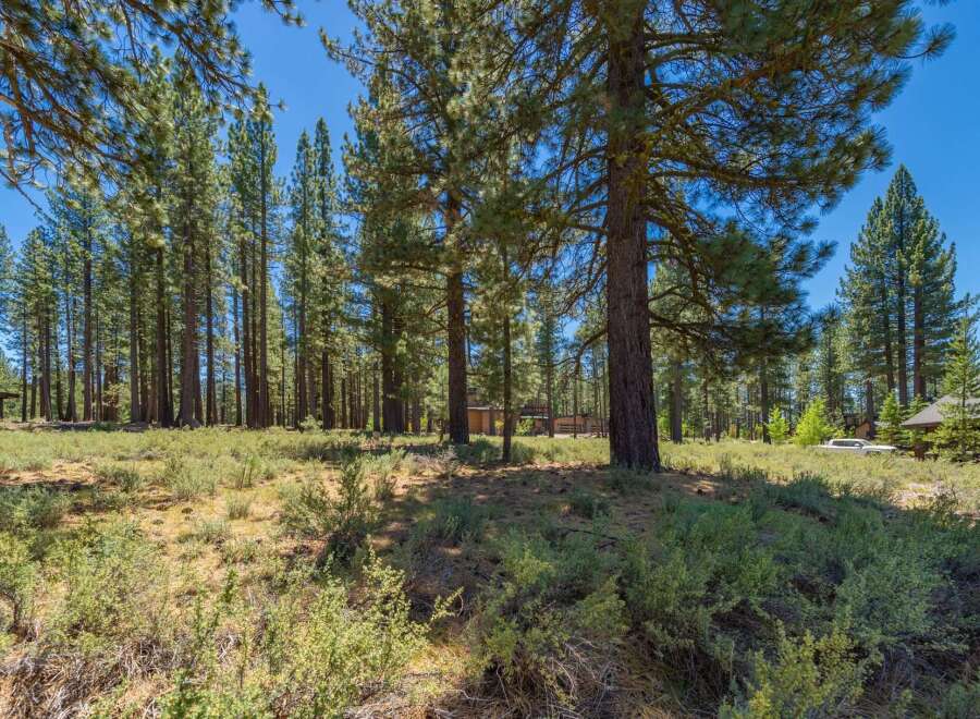 Nestled within a serene pine forest, this property offers a tranquil escape with abundant natural beauty.