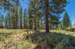 Nestled within a serene pine forest, this property offers a tranquil escape with abundant natural beauty.