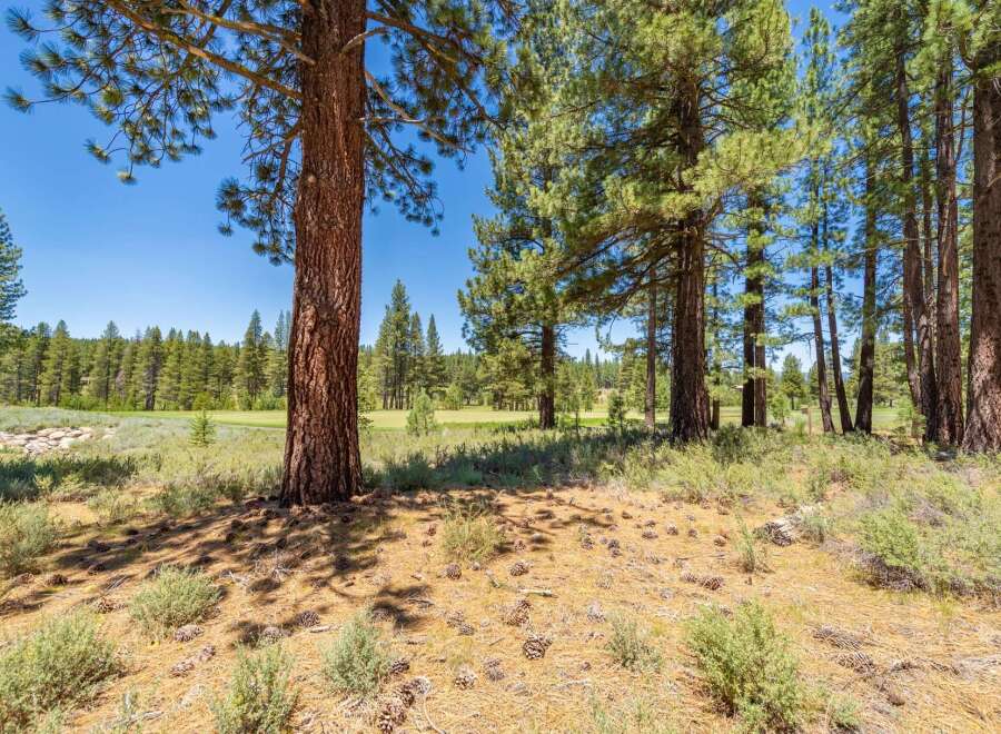 Nestled amongst mature pine trees, this property offers a serene and natural setting.