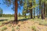 Nestled amongst mature pine trees, this property offers a serene and natural setting.