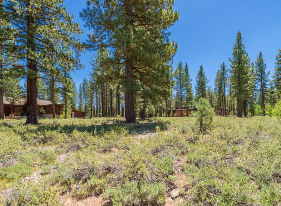 Nestled amidst a serene pine forest, this property offers a tranquil retreat with charming wooden homes.