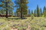 Nestled amidst a serene pine forest, this property offers a tranquil retreat with charming wooden homes.