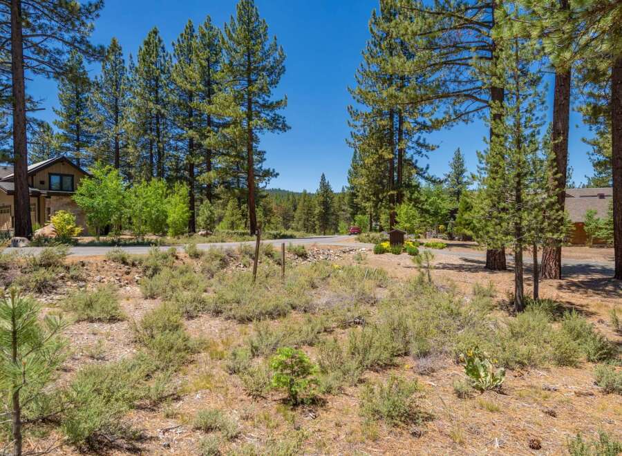Nestled amidst towering pine trees, this property offers a serene and private setting.
