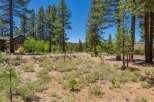 Nestled amidst towering pine trees, this property offers a serene and private setting.