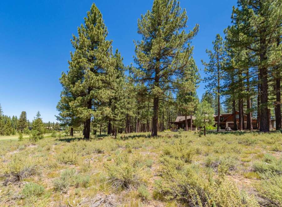 Nestled amidst towering pine trees, this property offers a serene retreat with a beautiful home visible in the background.