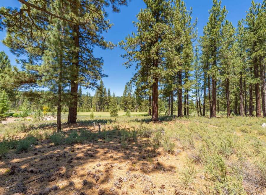 Nestled amidst a serene pine forest, this property offers a tranquil escape with breathtaking natural beauty.