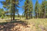 Nestled amidst a serene pine forest, this property offers a tranquil escape with breathtaking natural beauty.