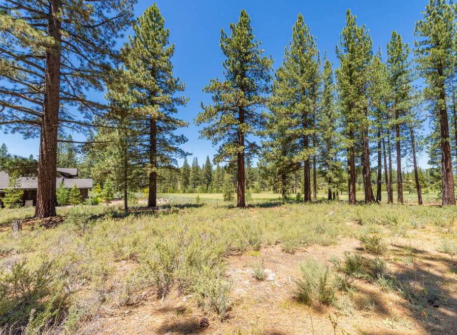 Nestled amidst towering pine trees, this property offers a serene and private setting.