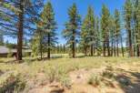 Nestled amidst towering pine trees, this property offers a serene and private setting.
