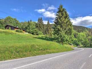 Nestled amidst lush greenery and towering pine trees, this charming wooden cabin offers a serene mountain retreat.