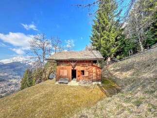 Nestled on a picturesque hillside, this charming wooden cabin offers a serene escape with breathtaking mountain views.