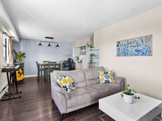 Discover a bright and airy living space featuring a comfortable grey sofa adorned with floral accent pillows, complemented by a modern white coffee table.