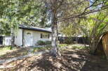 Charming bungalow with a white front door and a decorative window, nestled amongst mature trees.