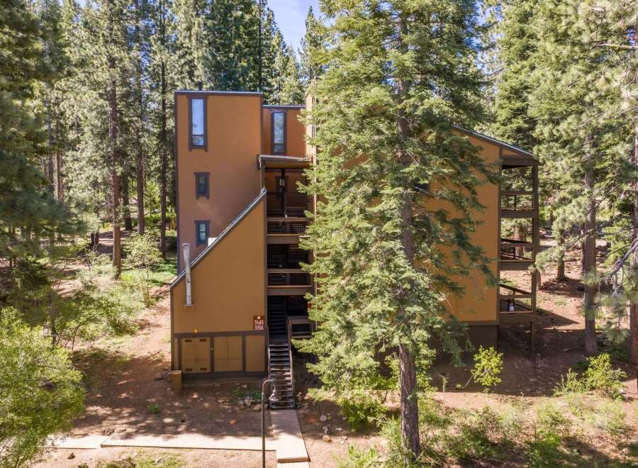 Nestled amidst towering pine trees, this multi-story building offers a unique living experience surrounded by nature.