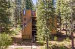 Nestled amidst towering pine trees, this multi-story building offers a unique living experience surrounded by nature.