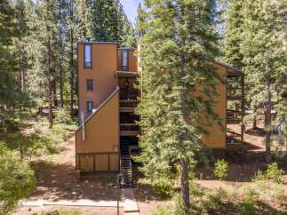 Nestled amidst towering pine trees, this multi-story building offers a unique living experience surrounded by nature.