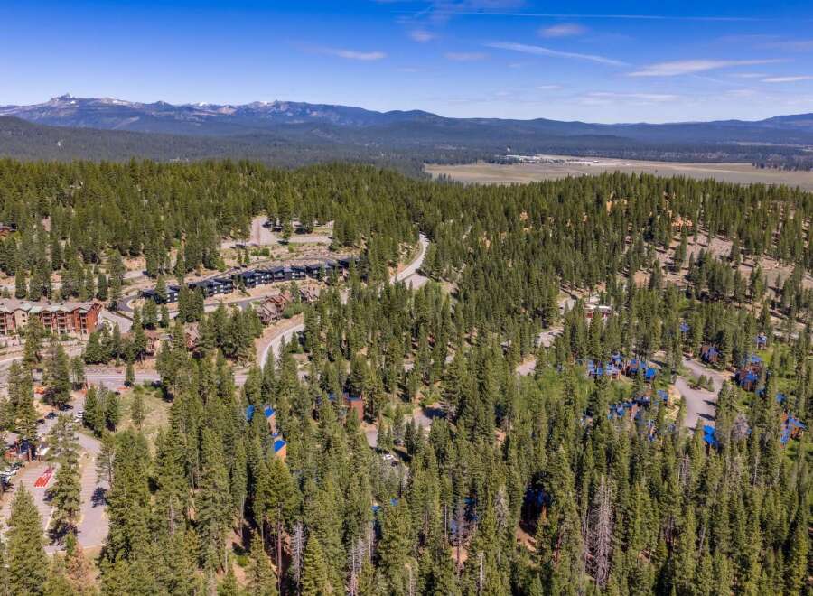 Nestled amidst a dense pine forest, this property offers a serene mountain retreat with stunning natural beauty.