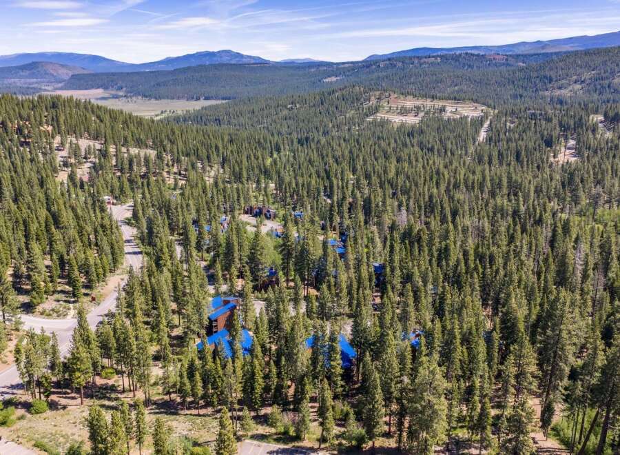 Nestled amidst a dense forest of tall pine trees, this property offers a serene mountain retreat.