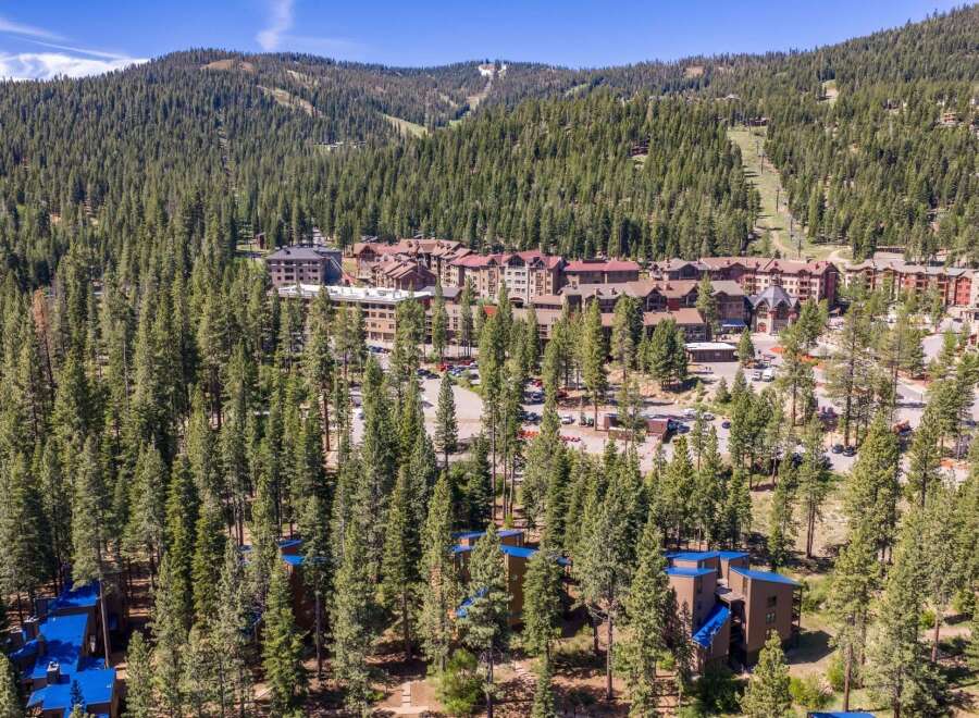 Nestled amidst a dense pine forest, this property offers a serene mountain retreat with stunning views.