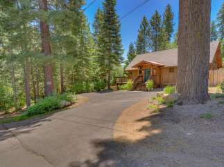 Nestled amidst towering pine trees, this charming wooden cabin offers a serene mountain retreat.