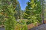 Discover a serene nursery setting nestled amongst tall pine trees, offering a vibrant selection of plants and flowers.