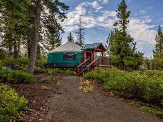 Discover unique living with this charming yurt nestled in a serene forest setting.