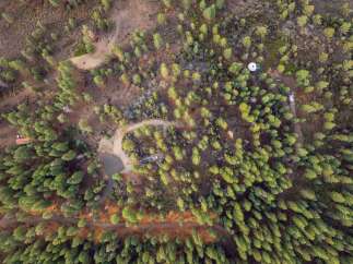 Discover this unique property nestled within a serene forest landscape.