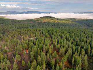 Discover this unique property nestled within a vast, mature pine forest, offering unparalleled privacy and a serene natural setting.