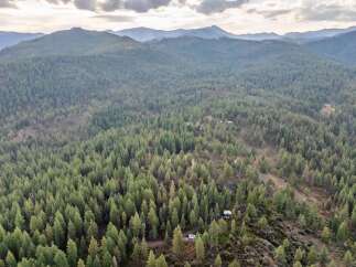 Discover your private oasis nestled within a vast, mature forest.