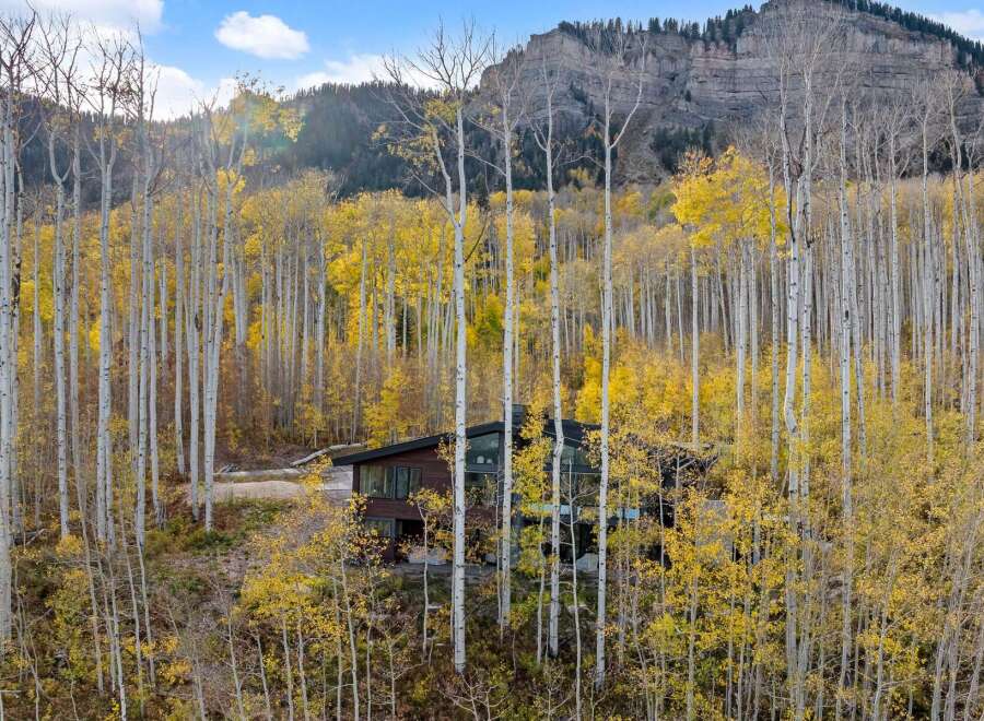 Nestled amidst a vibrant aspen grove, this modern mountain home offers a serene retreat with stunning natural beauty.