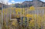 Nestled amidst a vibrant aspen grove, this modern mountain home offers a serene retreat with stunning natural beauty.