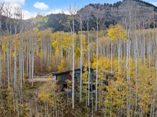 Nestled amidst a vibrant aspen grove, this modern mountain home offers a serene retreat with stunning natural beauty.