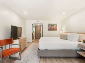 Experience comfort and style in this beautifully appointed hotel room, featuring a plush king-sized bed with crisp white linens and accent pillows.