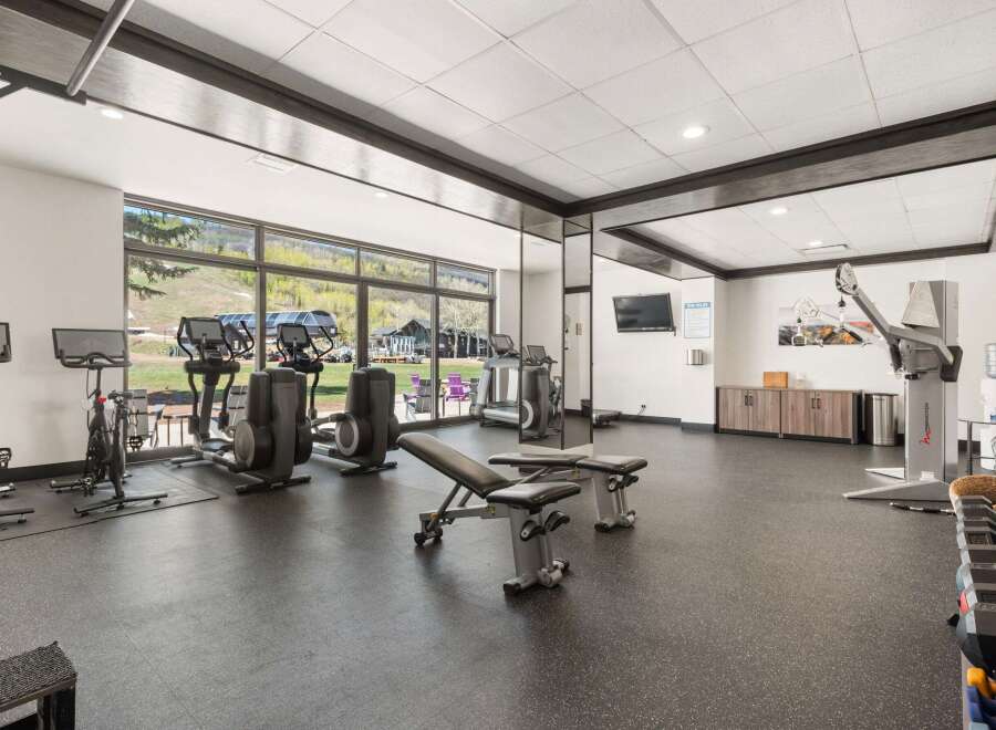 Experience a revitalizing workout with a view in this well-equipped gym, featuring a variety of cardio machines like treadmills and stationary bikes, alongside weight training equipment and benches.