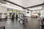 Experience a revitalizing workout with a view in this well-equipped gym, featuring a variety of cardio machines like treadmills and stationary bikes, alongside weight training equipment and benches.