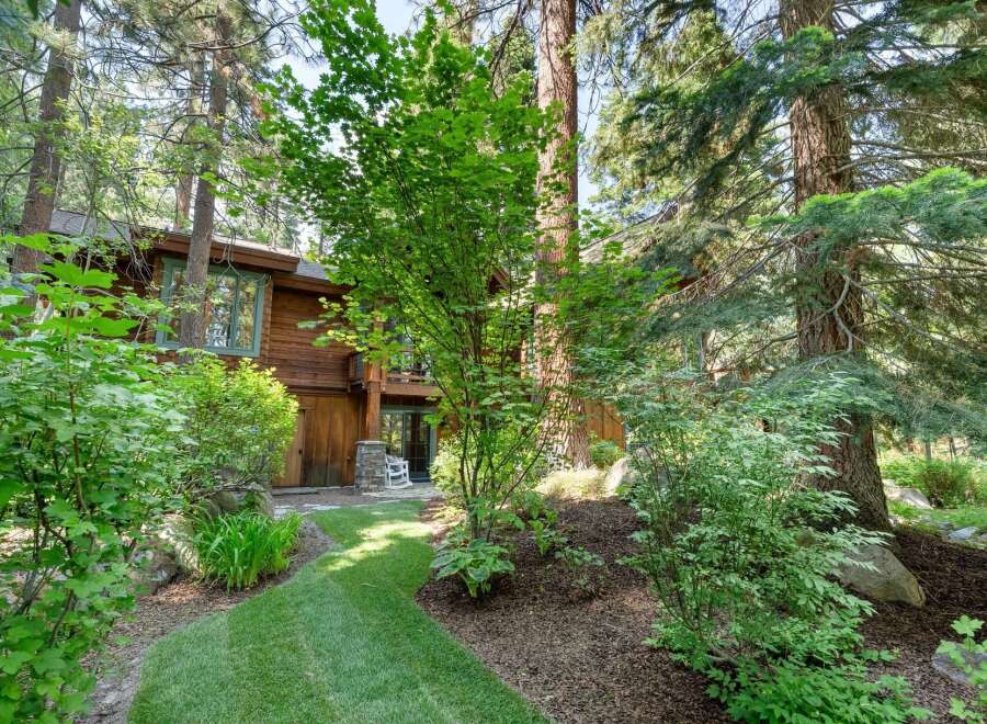 Nestled amidst towering trees, this charming wooden home offers a serene retreat.