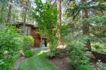 Nestled amidst towering trees, this charming wooden home offers a serene retreat.
