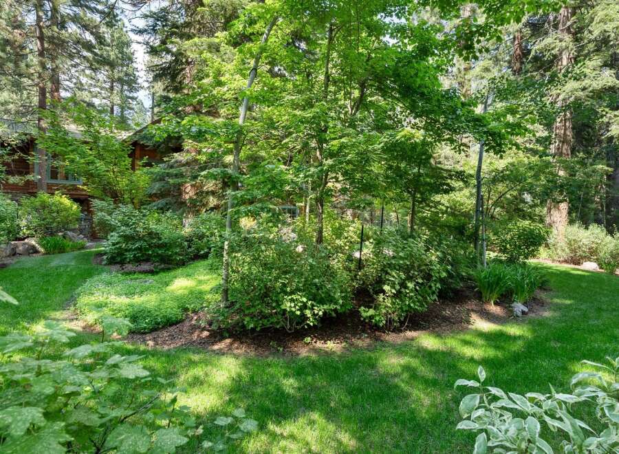 Nestled amidst a lush forest, this property offers a serene retreat with its mature trees and vibrant greenery.