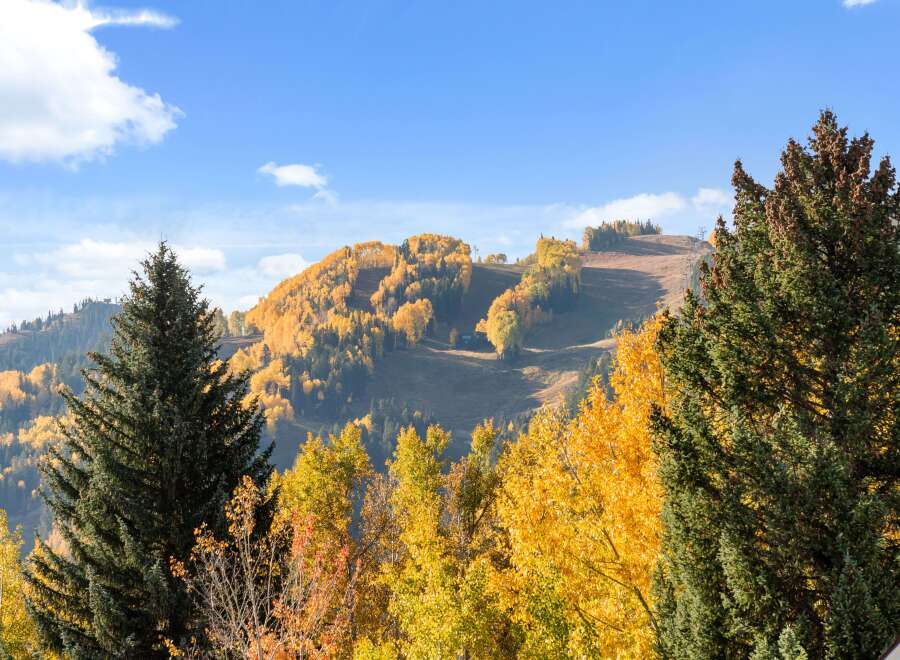 Experience the beauty of autumn from this stunning mountain property, perfect for a ski resort or a serene mountain getaway.