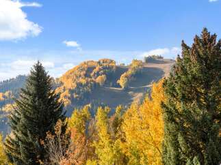 Experience the beauty of autumn from this stunning mountain property, perfect for a ski resort or a serene mountain getaway.