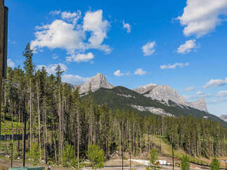 Experience breathtaking mountain views from this stunning property, nestled amidst a lush forest.
