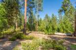Nestled within a serene forest, this property offers a tranquil escape surrounded by mature pine trees and lush greenery.