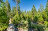 Discover the serene beauty of this wooded property, perfect for building your dream home or a tranquil retreat.