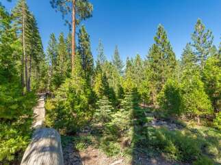 Discover the serene beauty of this wooded property, perfect for building your dream home or a tranquil retreat.