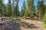 Nestled amidst a serene forest setting, this property offers a tranquil escape with its charming cabin-style home surrounded by towering pine trees.