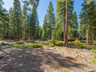 Nestled amidst a serene forest setting, this property offers a tranquil escape with its charming cabin-style home surrounded by towering pine trees.