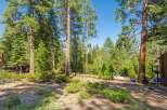 Nestled amidst a serene forest, this property offers a tranquil escape with towering pine trees and lush greenery.