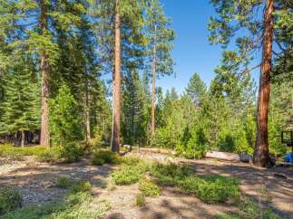 Nestled amidst a serene forest, this property offers a tranquil escape with towering pine trees and lush greenery.
