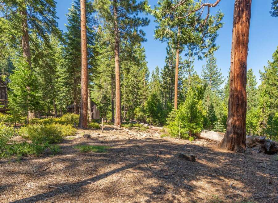 Nestled amongst towering pine trees, this property offers a serene and private forest setting.