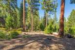 Nestled amongst towering pine trees, this property offers a serene and private forest setting.